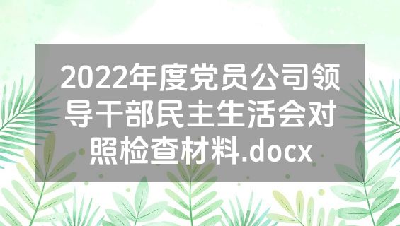 2022年度党员公司领导干部民主生活会对照检查材料.docx