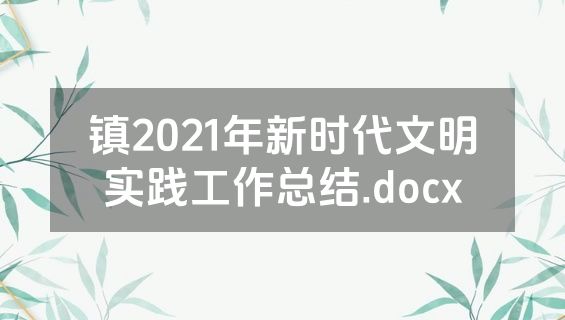 镇2021年新时代文明实践工作总结.docx