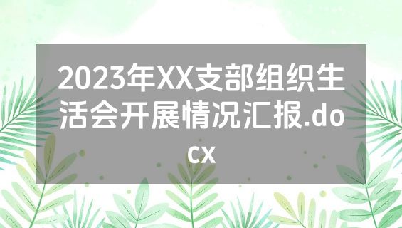 2023年XX支部组织生活会开展情况汇报.docx