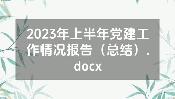 2023年上半年党建工作情况报告（总结）.docx