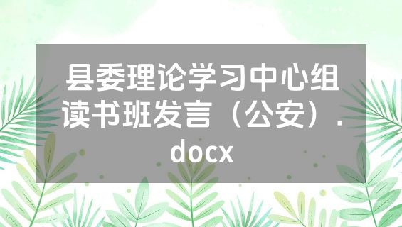 县委理论学习中心组读书班发言（公安）.docx