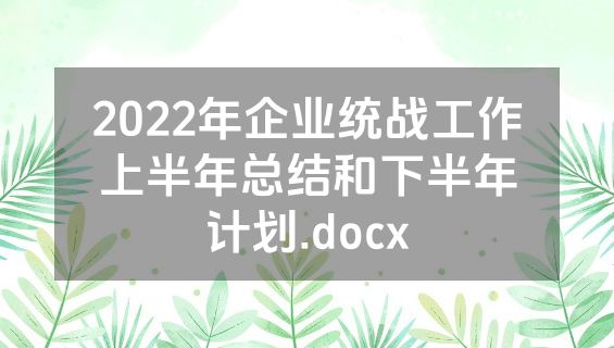 2022年企业统战工作上半年总结和下半年计划.docx