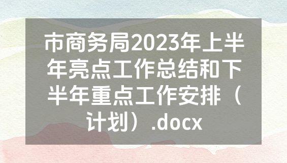 市商务局2023年上半年亮点工作总结和下半年重点工作安排（计划）.docx