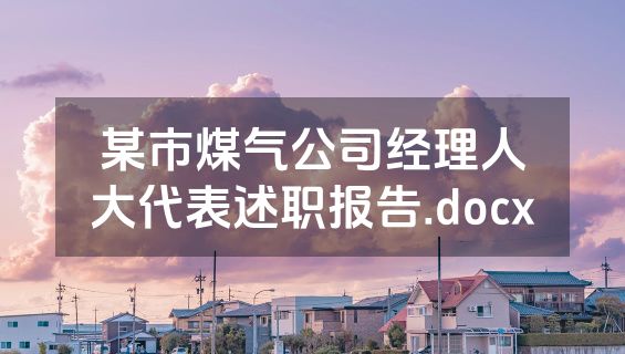 某市煤气公司经理人大代表述职报告.docx