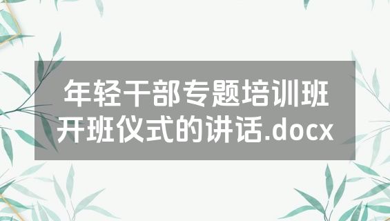 年轻干部专题培训班开班仪式的讲话.docx