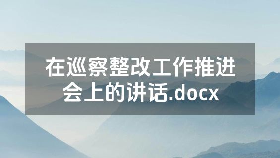 在巡察整改工作推进会上的讲话.docx