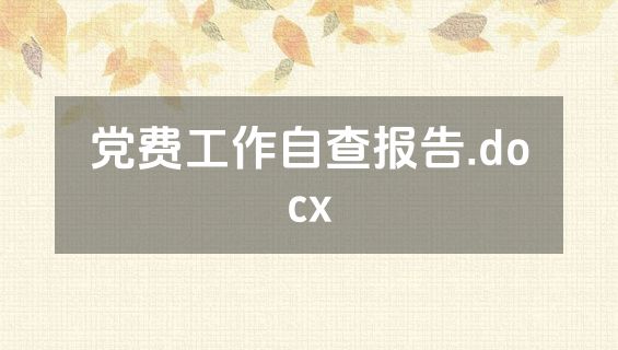 党费工作自查报告.docx