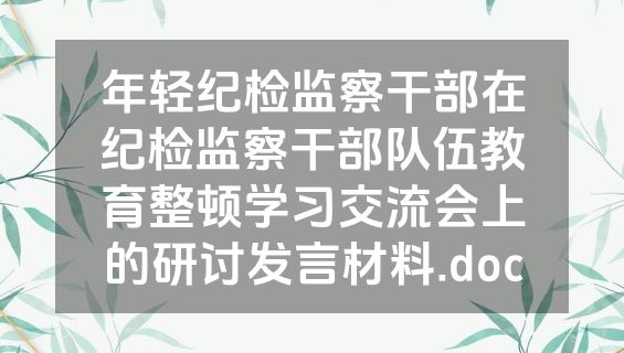 年轻纪检监察干部在纪检监察干部队伍教育整顿学习交流会上的研讨发言材料.doc