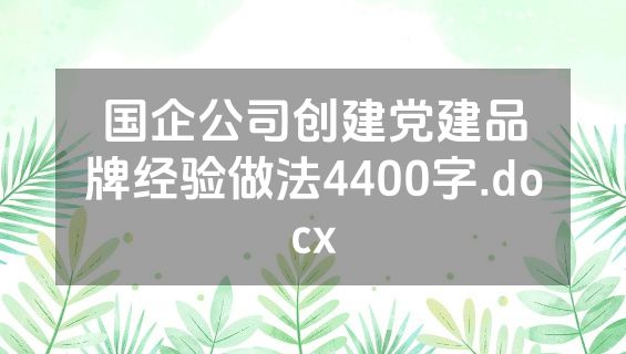国企公司创建党建品牌经验做法4400字.docx