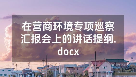 在营商环境专项巡察汇报会上的讲话提纲.docx