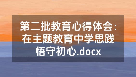 第二批教育心得体会：在主题教育中学思践悟守初心.docx
