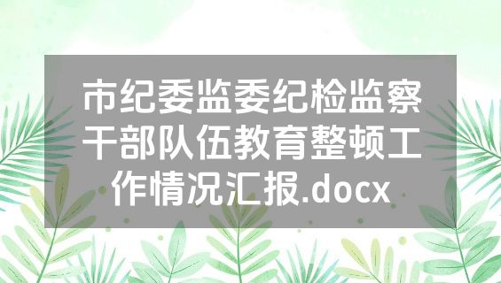 市纪委监委纪检监察干部队伍教育整顿工作情况汇报.docx