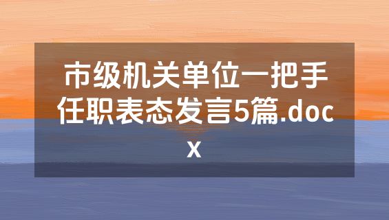 市级机关单位一把手任职表态发言5篇.docx