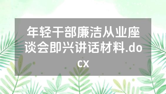年轻干部廉洁从业座谈会即兴讲话材料.docx