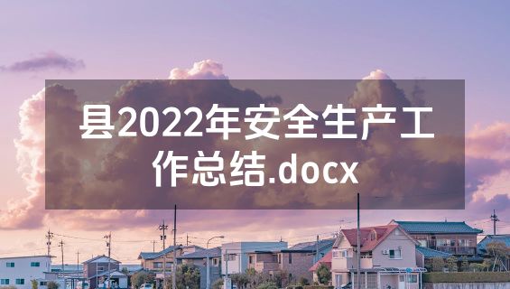 县2022年安全生产工作总结.docx