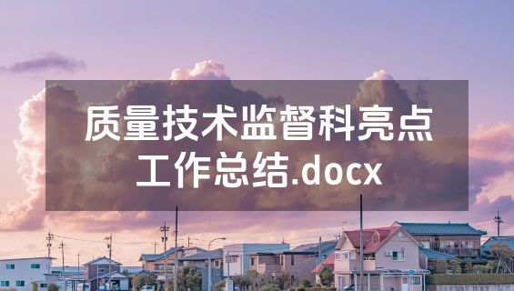 质量技术监督科亮点工作总结.docx