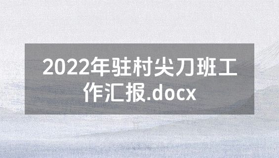 2022年驻村尖刀班工作汇报.docx