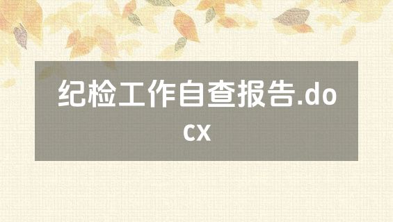 纪检工作自查报告.docx