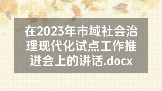 在2023年市域社会治理现代化试点工作推进会上的讲话.docx