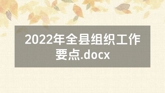 2022年全县组织工作要点.docx