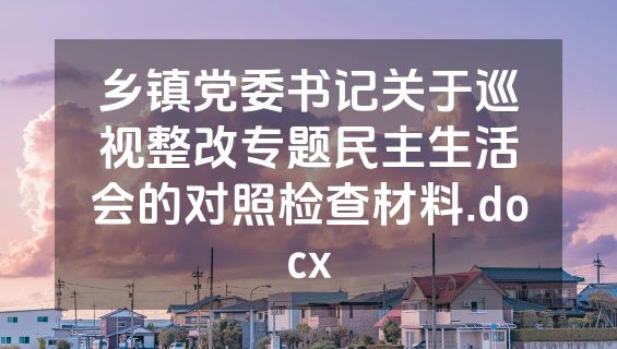 乡镇党委书记关于巡视整改专题民主生活会的对照检查材料.docx
