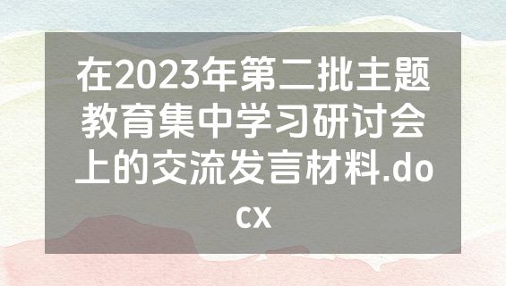 在2023年第二批主题教育集中学习研讨会上的交流发言材料.docx