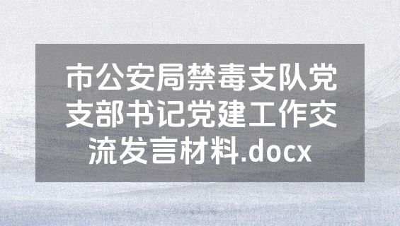 市公安局禁毒支队党支部书记党建工作交流发言材料.docx