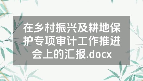 在乡村振兴及耕地保护专项审计工作推进会上的汇报.docx