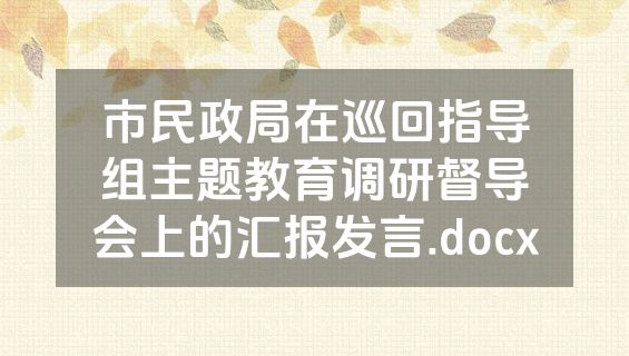 市民政局在巡回指导组主题教育调研督导会上的汇报发言.docx