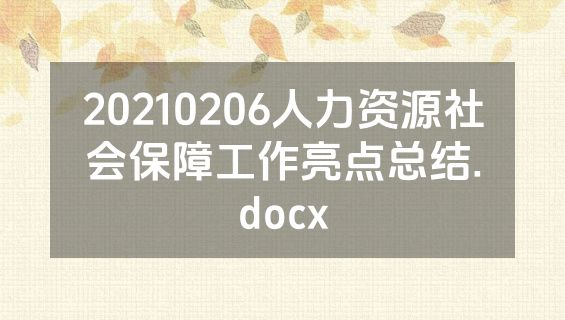 20210206人力资源社会保障工作亮点总结.docx