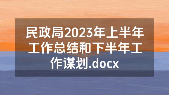 民政局2023年上半年工作总结和下半年工作谋划.docx