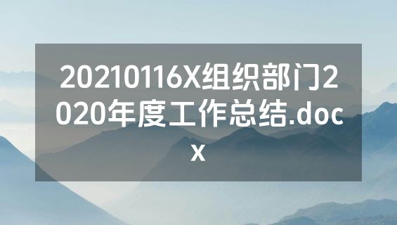 20210116X组织部门2020年度工作总结.docx