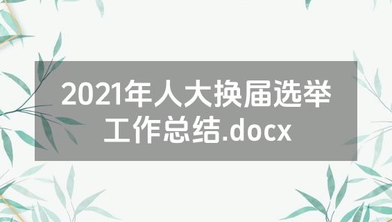 2021年人大换届选举工作总结.docx