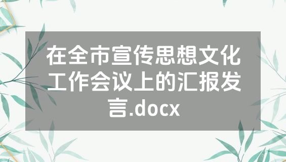 在全市宣传思想文化工作会议上的汇报发言.docx