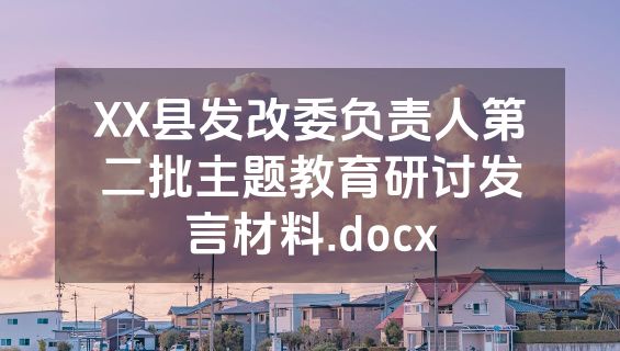 XX县发改委负责人第二批主题教育研讨发言材料.docx
