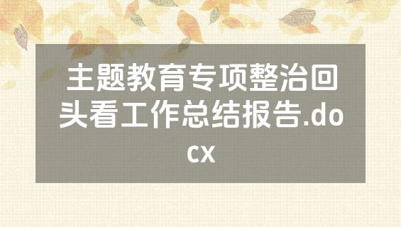 主题教育专项整治回头看工作总结报告.docx