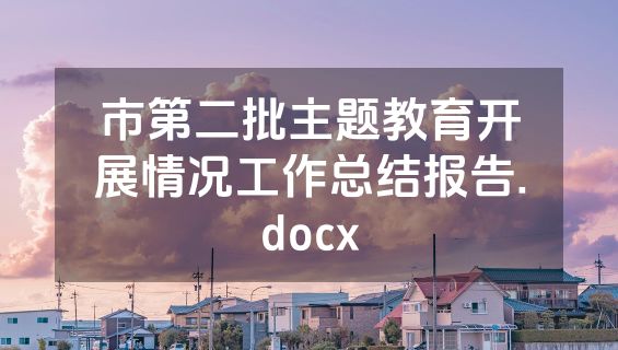 市第二批主题教育开展情况工作总结报告.docx