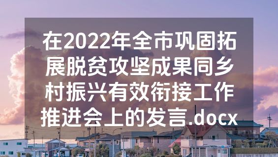 在2022年全市巩固拓展脱贫攻坚成果同乡村振兴有效衔接工作推进会上的发言.docx