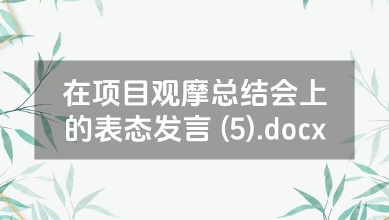 在项目观摩总结会上的表态发言 (5).docx