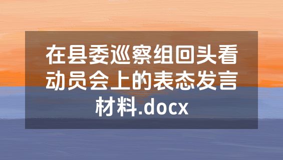 在县委巡察组回头看动员会上的表态发言材料.docx