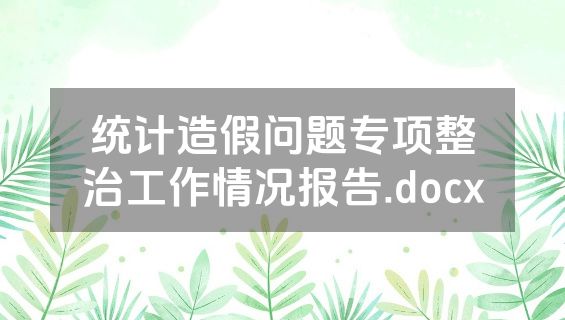 统计造假问题专项整治工作情况报告.docx