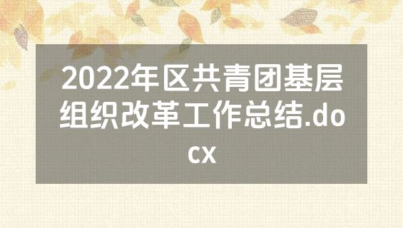 2022年区共青团基层组织改革工作总结.docx