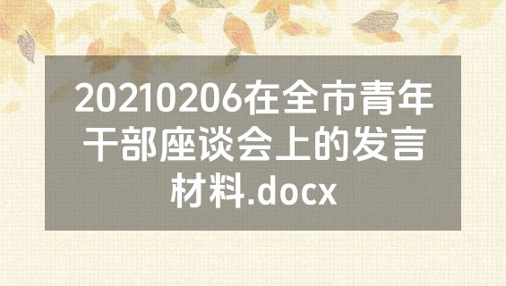 20210206在全市青年干部座谈会上的发言材料.docx