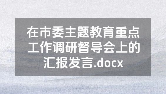在市委主题教育重点工作调研督导会上的汇报发言.docx