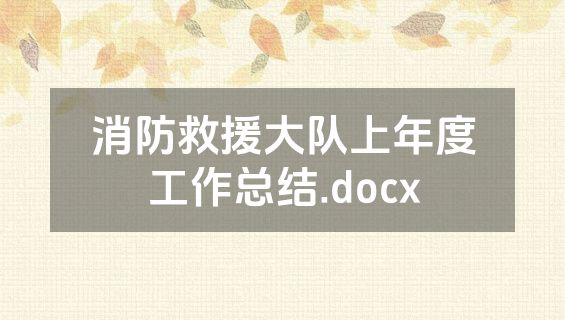 消防救援大队上年度工作总结.docx