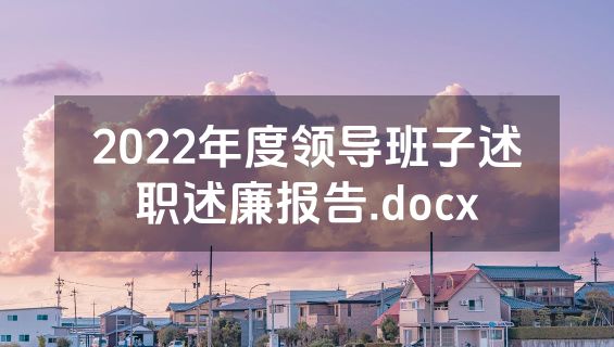2022年度领导班子述职述廉报告.docx