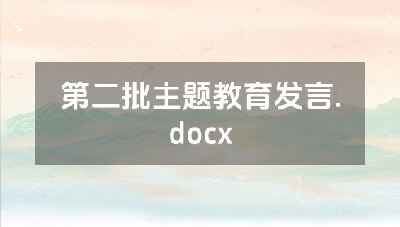 第二批主题教育发言.docx