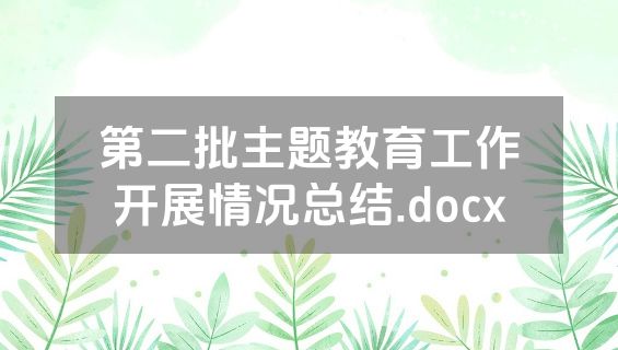 第二批主题教育工作开展情况总结.docx