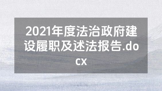 2021年度法治政府建设履职及述法报告.docx