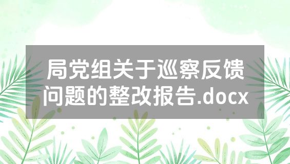 局党组关于巡察反馈问题的整改报告.docx